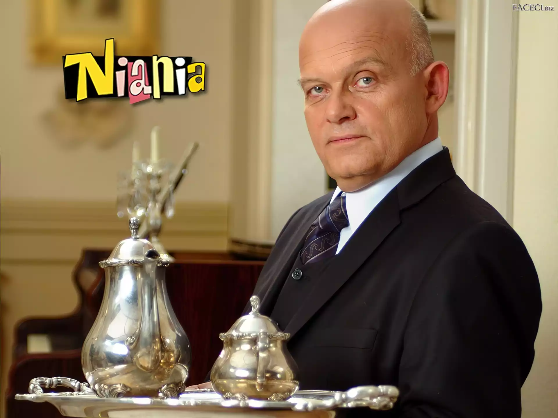 Adam Ferency, Serial, Niania